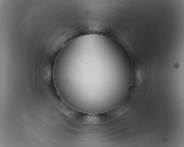 X0000113320668200909211157