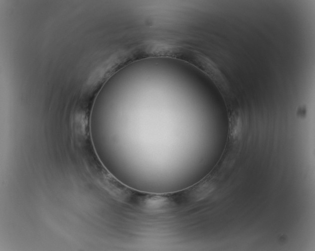 X0000113320669200909211157