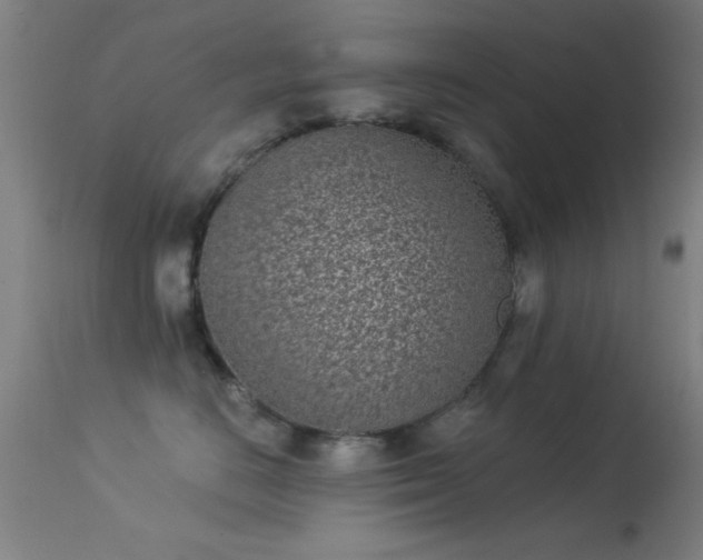 X0000113320670200909211157