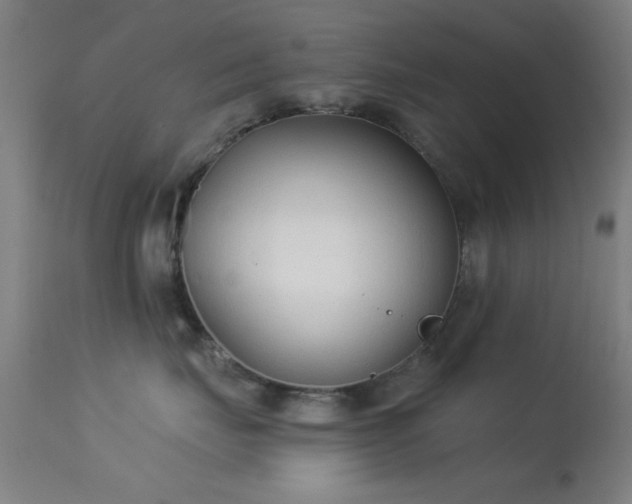 X0000113320671200909211157