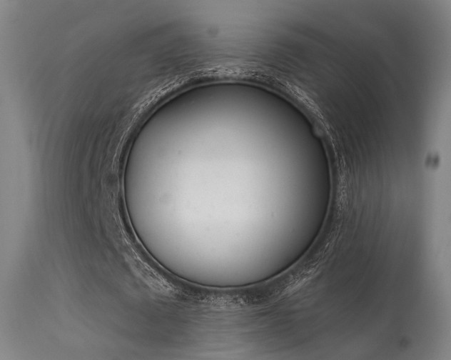 X0000113320673200909211156