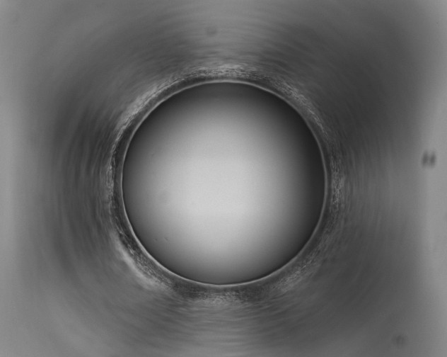 X0000113320674200909211156