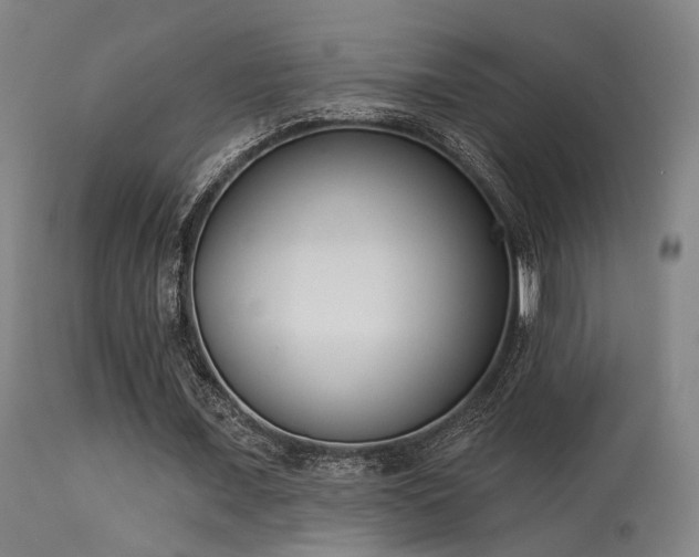 X0000113320675200909211156