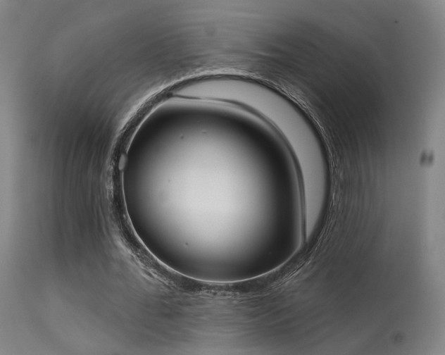 X0000113320676200909211156