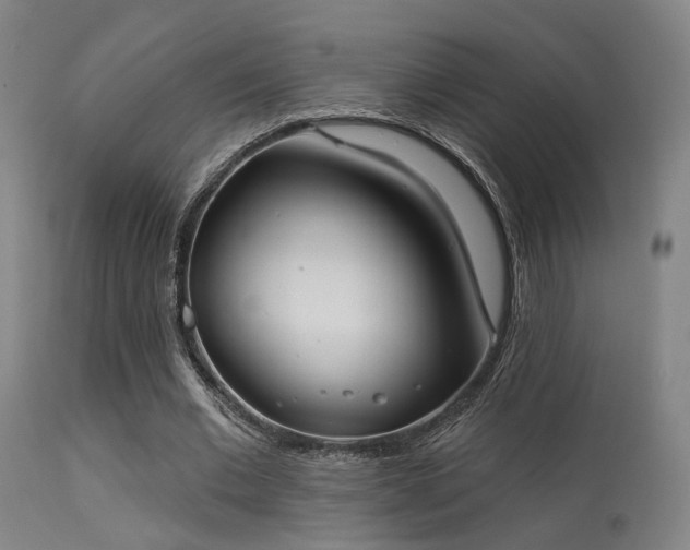 X0000113320677200909211156