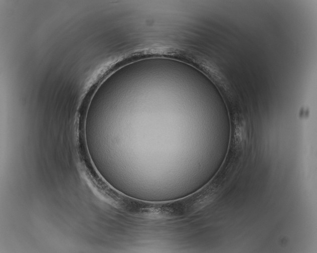 X0000113320678200909211156