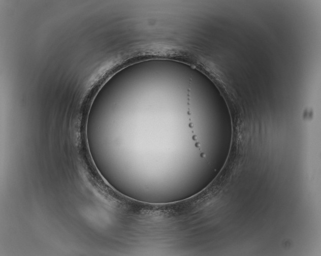 X0000113320679200909211156