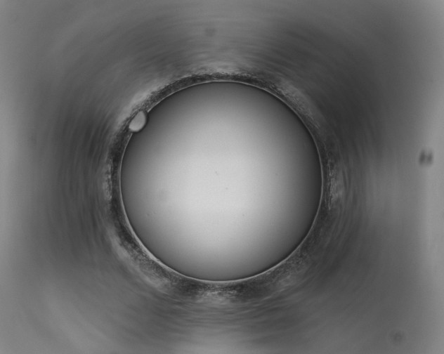 X0000113320680200909211156