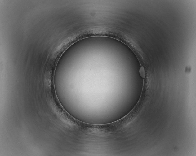 X0000113320681200909211156