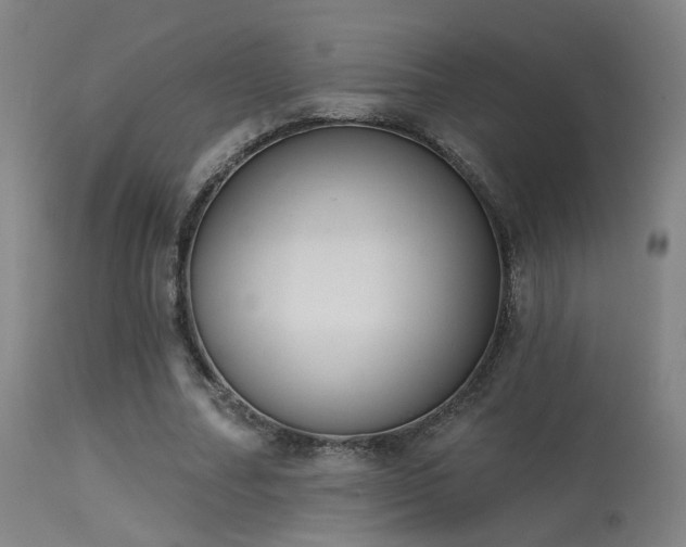 X0000113320682200909211156