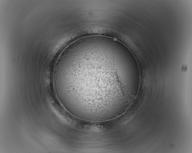 X0000113320683200909211156