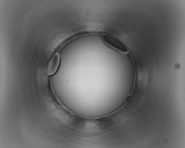 X0000113320684200909211156