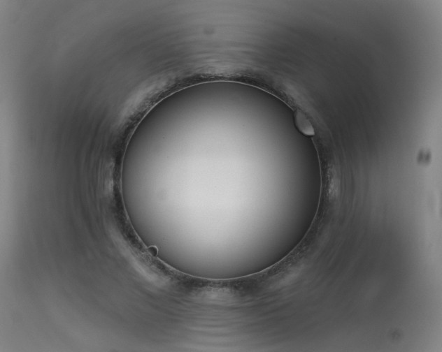 X0000113320685200909211156