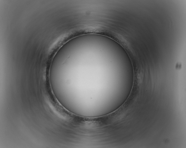 X0000113320686200909211156