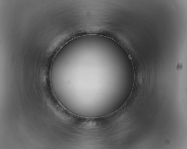 X0000113320687200909211156