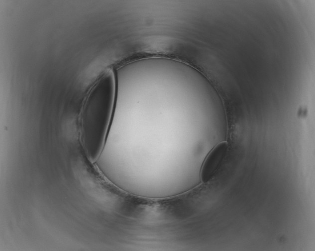 X0000113320688200909211156