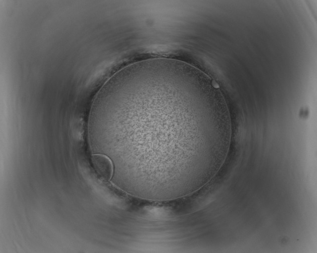 X0000113320689200909211156