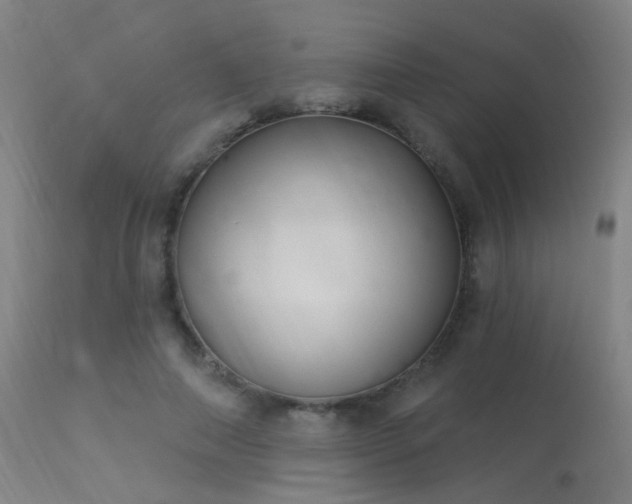 X0000113320690200909211156