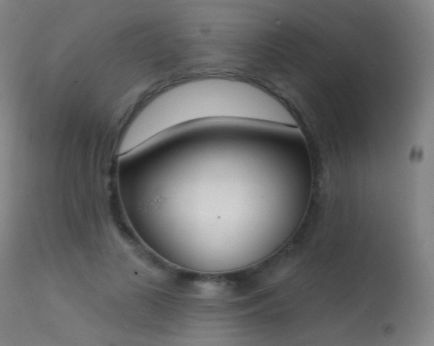 X0000113320693200909211156