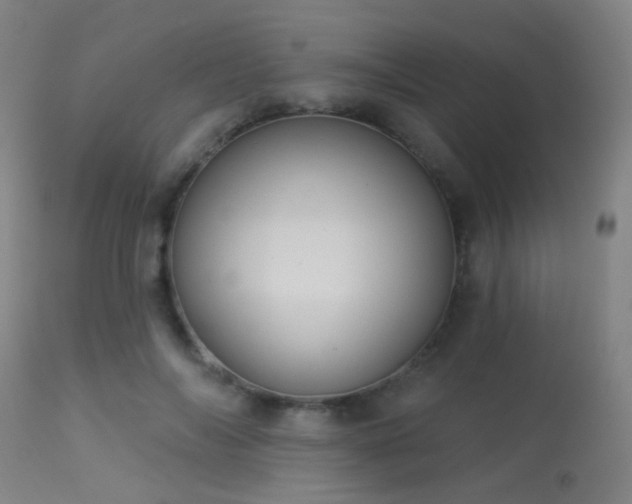 X0000113320694200909211156