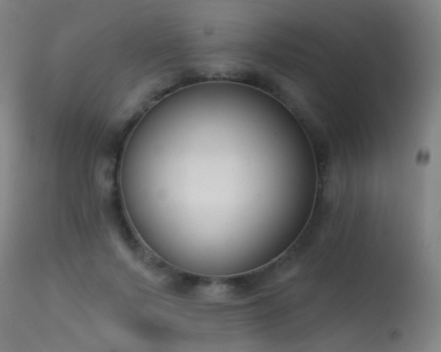 X0000113320695200909211156