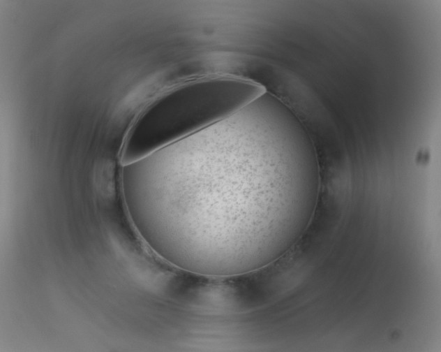 X0000113320696200909211156