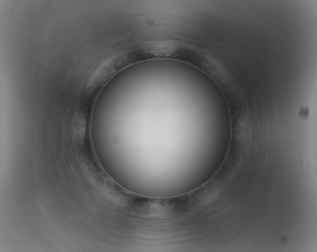 X0000113320697200909211156