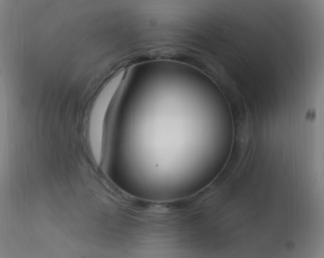 X0000113320701200909211156