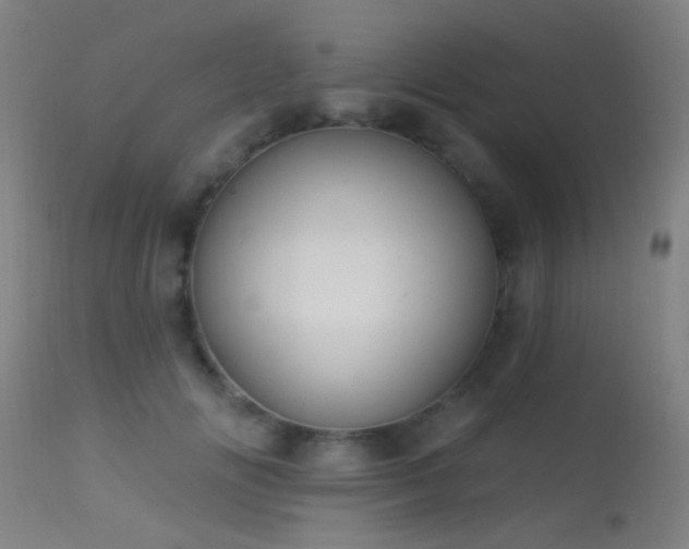 X0000113320702200909211156