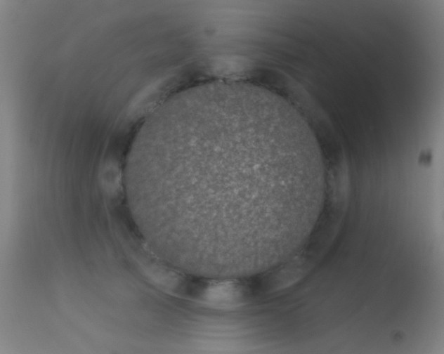 X0000113320705200909211156