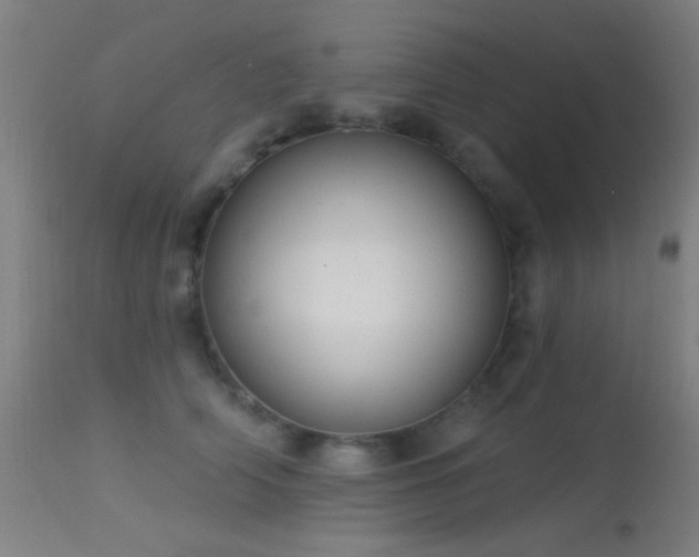 X0000113320706200909211156