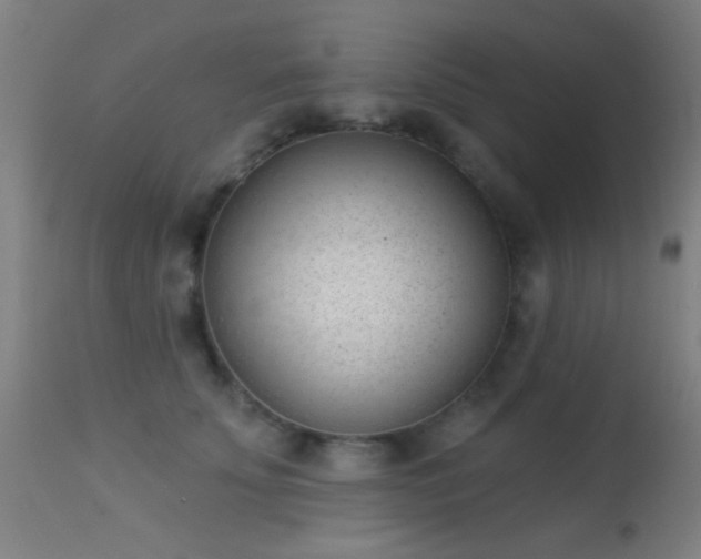 X0000113320707200909211156