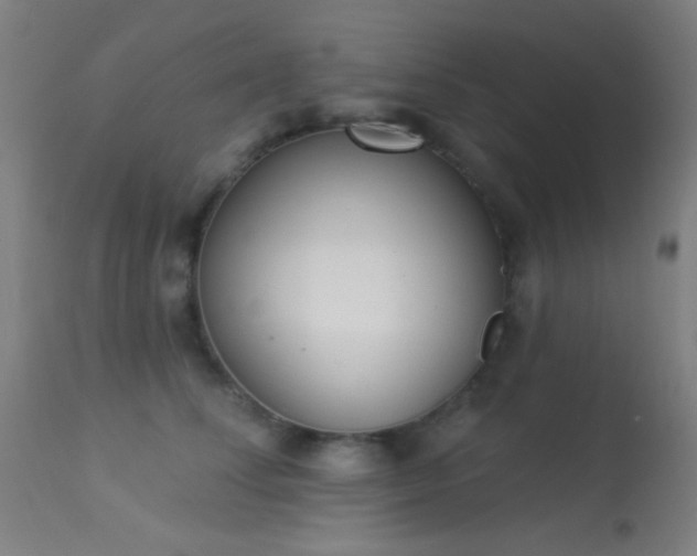 X0000113320708200909211156