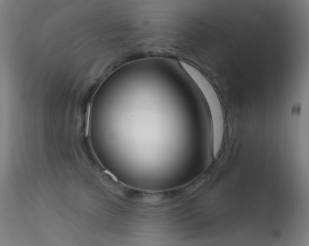 X0000113320709200909211156