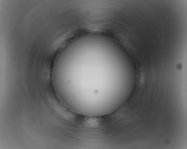 X0000113320710200909211156