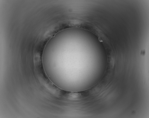 X0000113320711200909211156