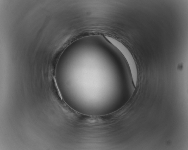 X0000113320712200909211156