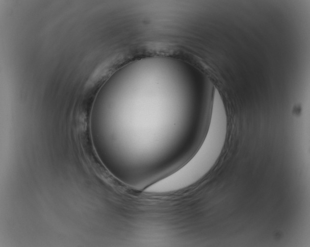 X0000113320713200909211156