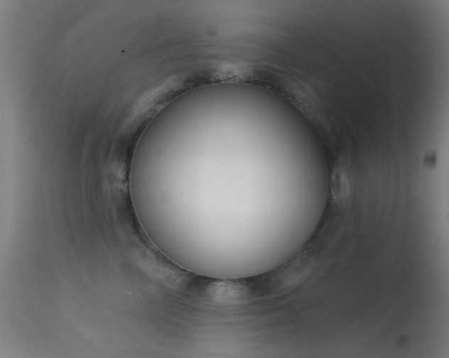 X0000113320714200909211156