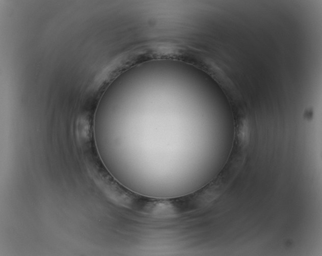 X0000113320715200909211156