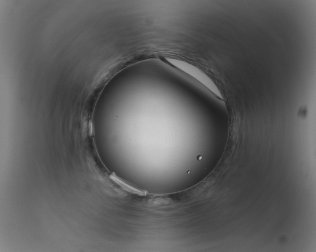 X0000113320716200909211156