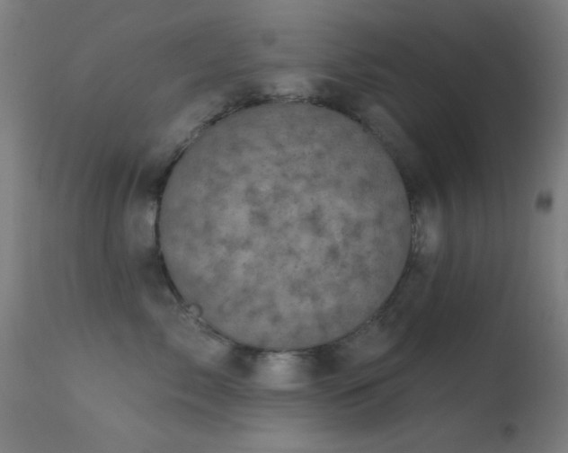 X0000113320717200909211156