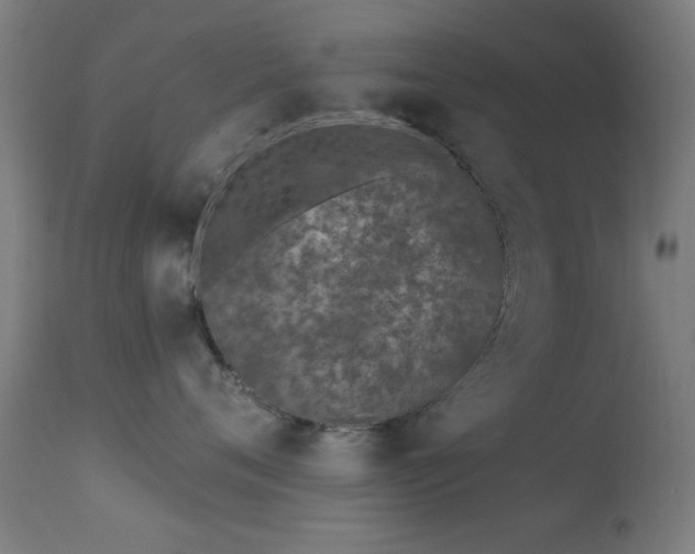 X0000113320720200909211156