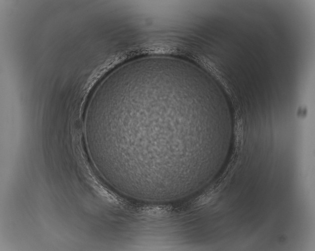 X0000113320721200909211155