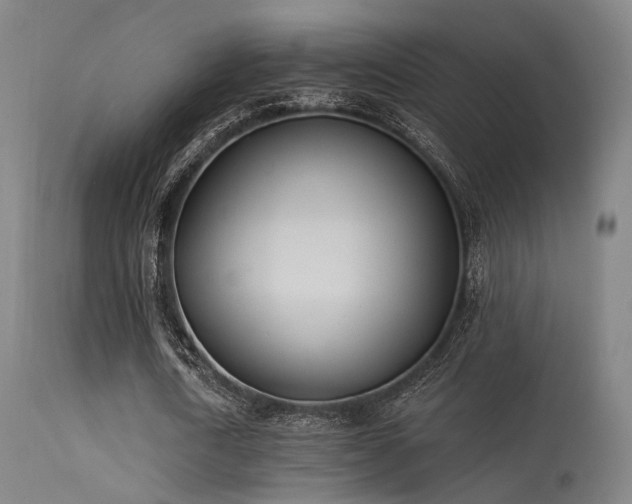 X0000113320722200909211155