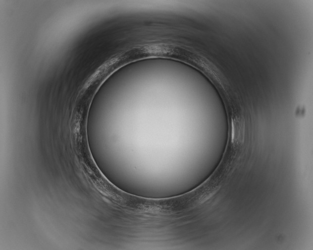 X0000113320723200909211155