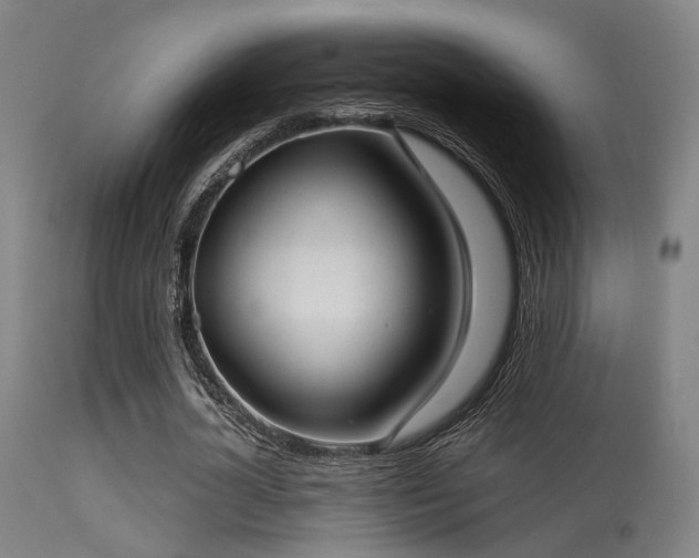 X0000113320724200909211155