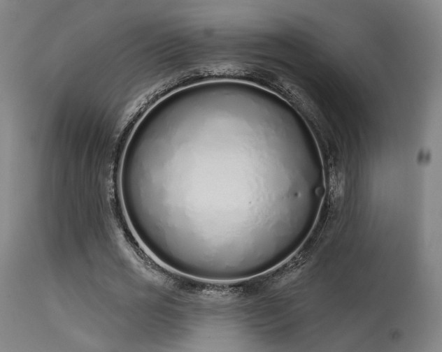 X0000113320725200909211155