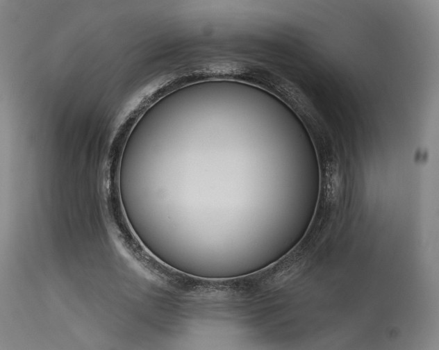 X0000113320726200909211155