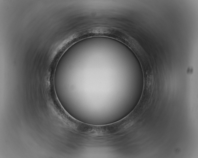 X0000113320727200909211155